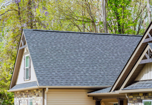 Best Roof Leak Repair  in Loma, CO